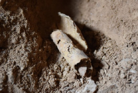 Archaeologists uncover first Dead Sea Scrolls cave in 60 years 